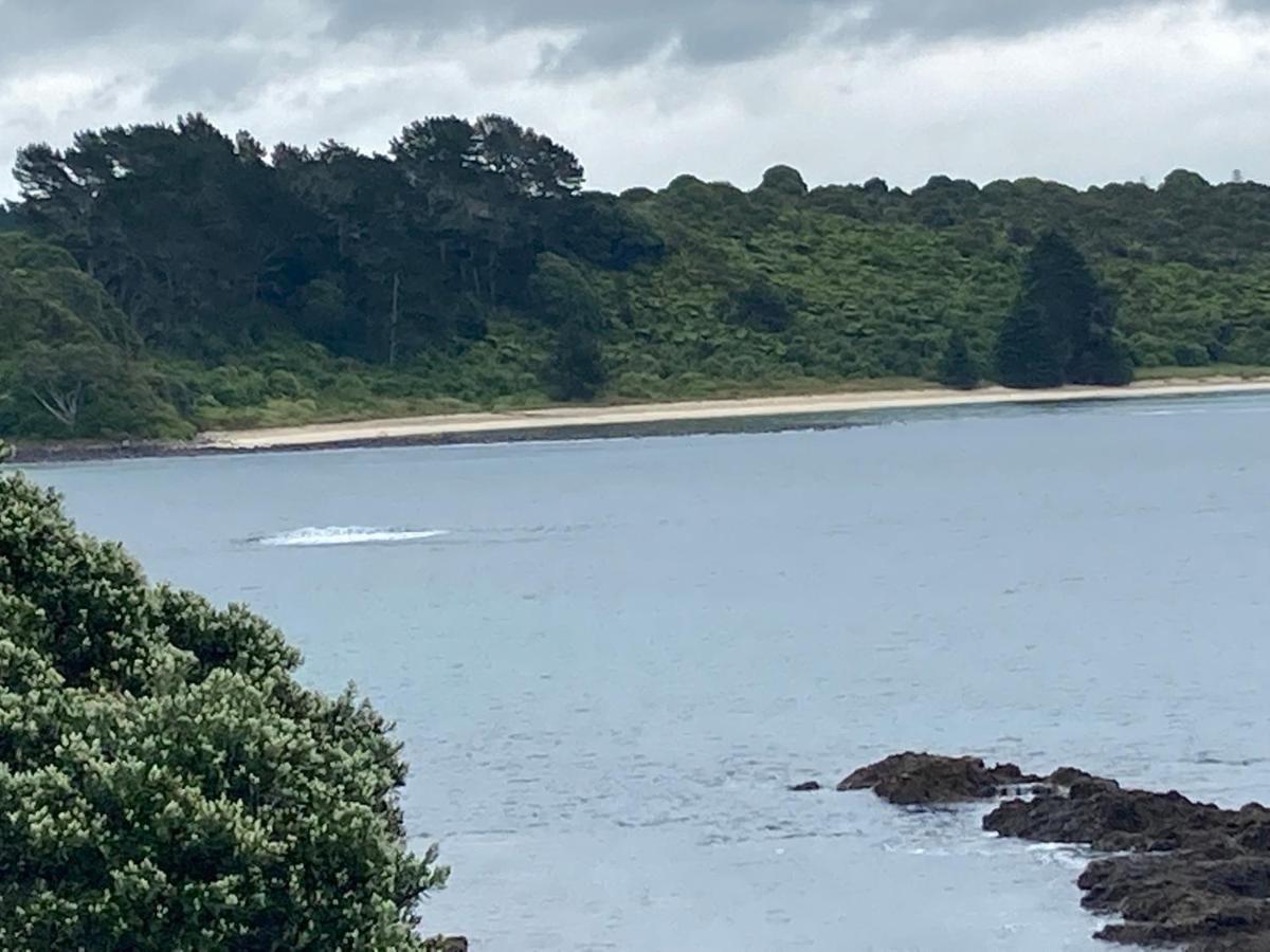 Appartamento The Seahouse Kerikeri Esterno foto
